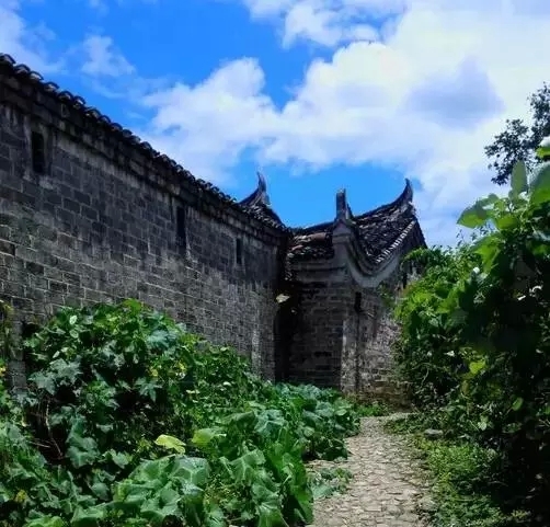 爸爸去哪儿绥宁